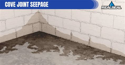 Cove Joints: Where Basement Leaks Happen